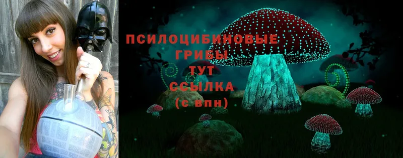 Галлюциногенные грибы Cubensis  Черноголовка 